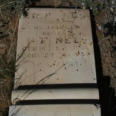 NEL P.F. 1928-1958