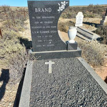 BRAND L.V.W. 1931-1981
