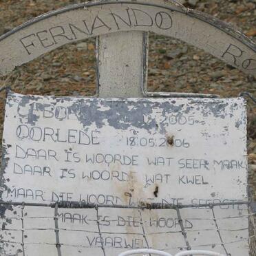 ROOS Fernando 2005-2006