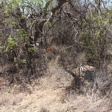 5. Overview / Oorsig