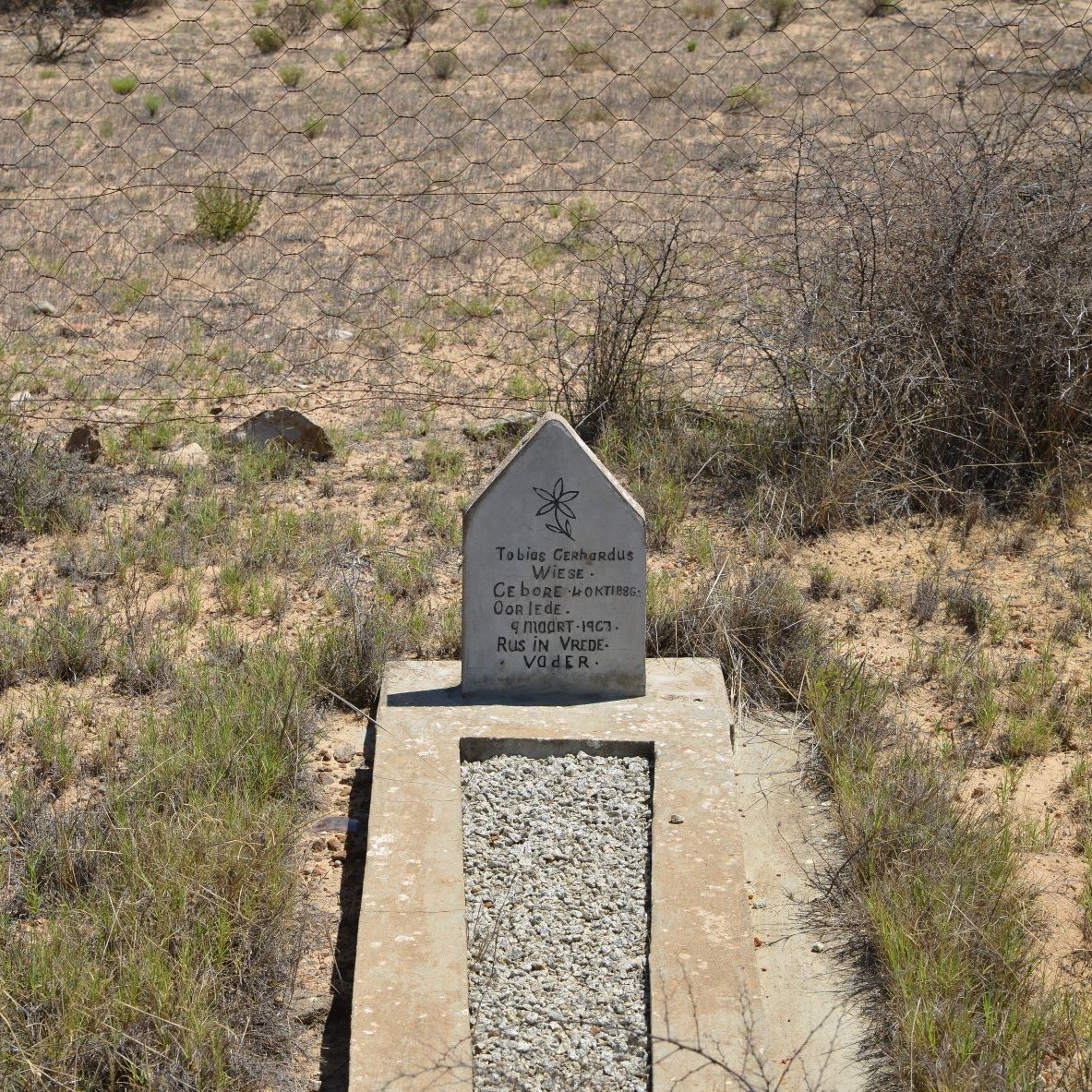 WIESE Tobias Gerhardus 1886-1967