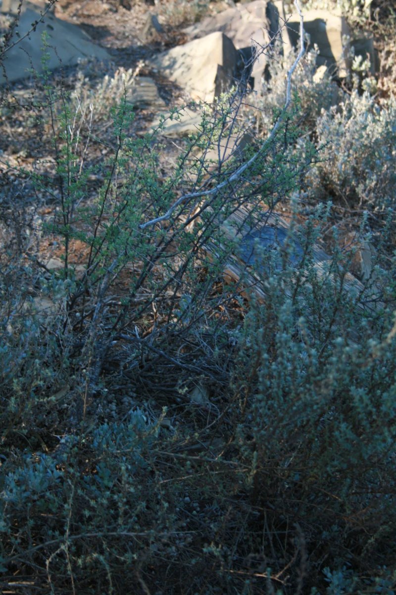 1. Overview