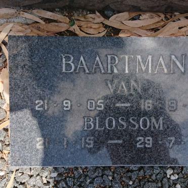 BAARTMAN Van 1905-1979 &amp; Blossom 1915-1979