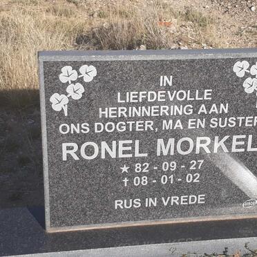MORKEL Ronel 1982-2008