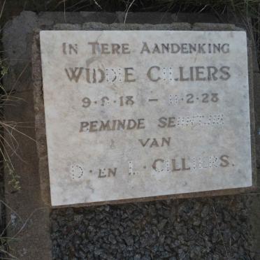 CILLIERS Widdie 1918-1928