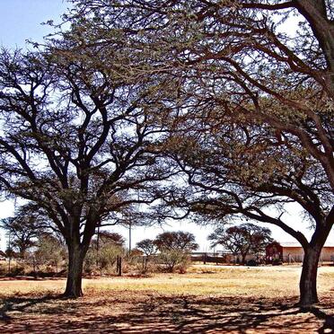 1. Overview photos / Oorsigfoto's