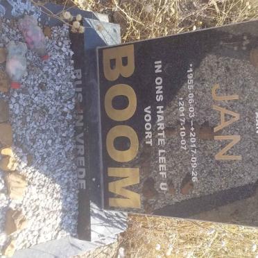 BOOM Jan 1955-2017
