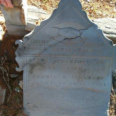 SWANEPOEL Fredrikus Johannes Lodewikus