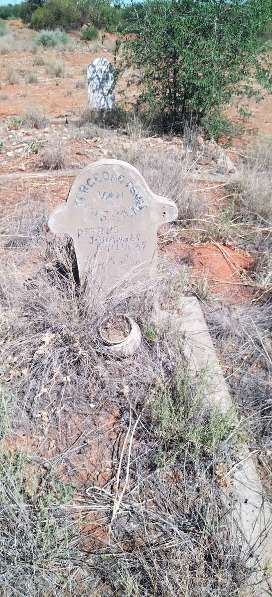 WILLIAMS Petrus Johannes 1902-