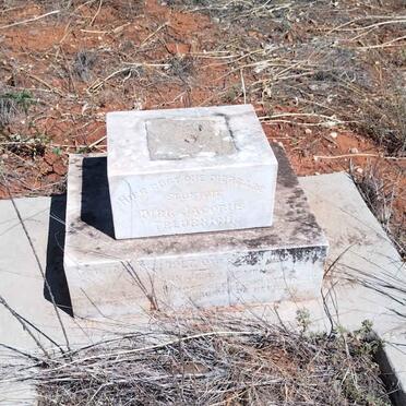 TREURNICH Dirk Jacobus 1927-19?4