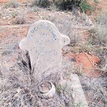 WILLIAMS Petrus Johannes 1902-