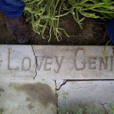 GENIS Lovey