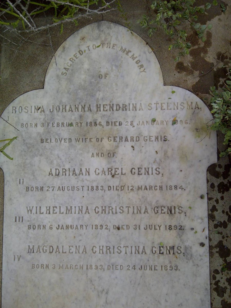 GENIS :: STEENSMA