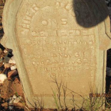 TERRY Cecilia Johanna 1931-1932