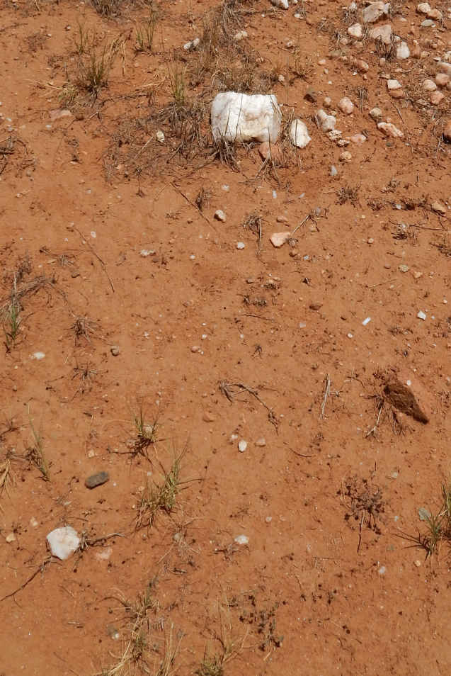 ?