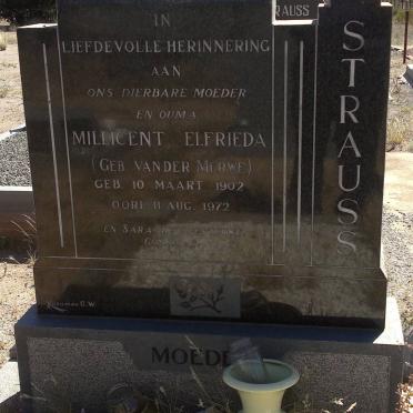 STRAUSS Millicent Elfrieda nee VAN DER MERWE 1902-1972