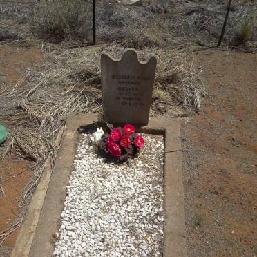 HANEKOM Elisabet Maria 1939-1946