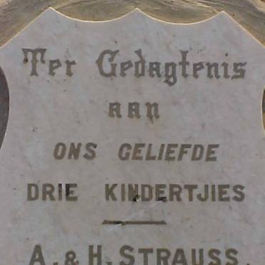 STRAUSS ? :: STRAUSS ? :: STRAUSS ?