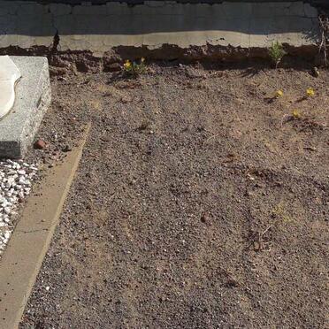 SMIT C.J. 1920-1938 :: SMIT J.M. 1922-1938