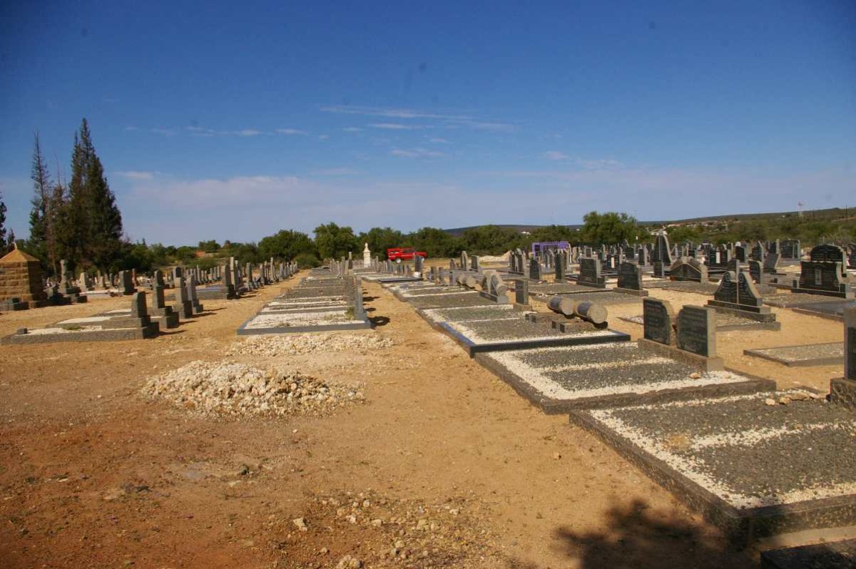 4. Overview