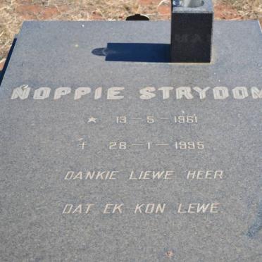 STRYDOM Noppie 1961-1995