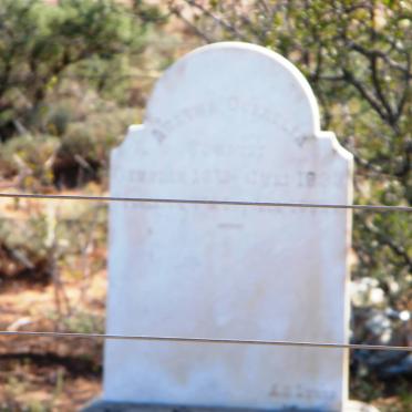 SCHMIDT ? Cornelia 189?-