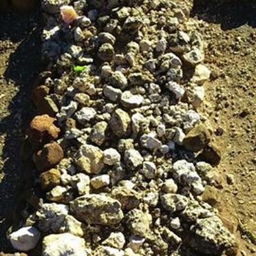 TOIT Aletta, du 1897-1901