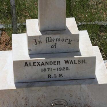 WALSH Alexander 1871-1920