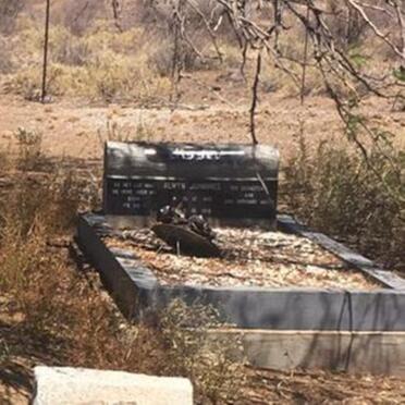 VISSER Alwyn Johannes 1881-1918