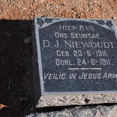 NIEWOUDT D.J. 1911-1911