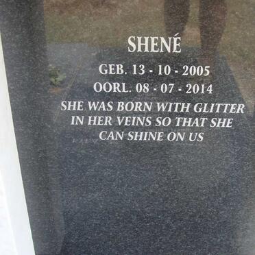 WYK Shené, van 2005-2014