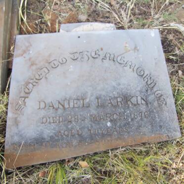 LARKIN Daniel -1876 :: MARTIN Catherine :: MARTIN John Patrick :: MARTIN Margaret -1877