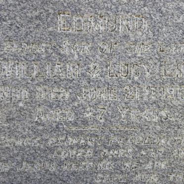 LING Edmond -1900 :: LING Emily -1894 :: LING Lucy -1891 :: LING William -1889