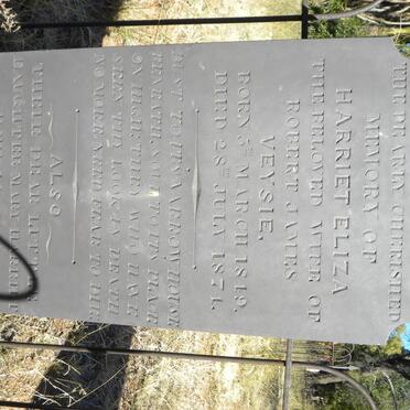 VEYSIE Harriet Eliza 1849-1974 :: VEYSIE Mary Harriet 1874-1874