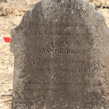 BRINK Anni E. -1890