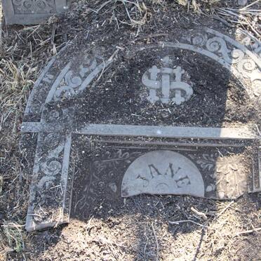 LOWRIE Jane -1884 :: LOWRIE Michael -1884 :: LOWRIE Patrick John 1887-1887 :: LOWRIE Julia Anastasia 1890-1894