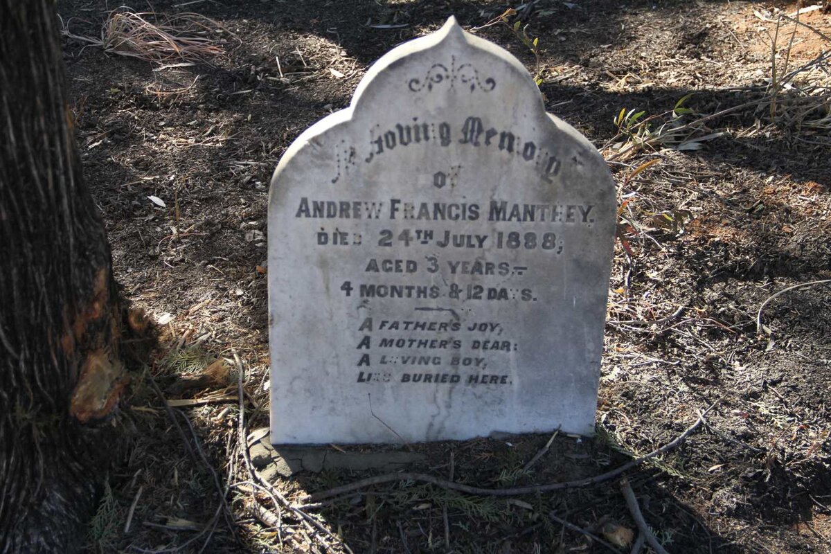 MANTHEY Andrew Francis -1888