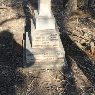 TUCKER Roland Kidger -1886 :: TUCKER Rupert Edwin Kidger -1888