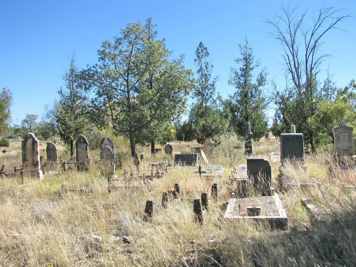2. Overview