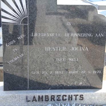 LAMBRECHTS Hugo Amos 1893-1966 &amp; Hester Jocina NEL 1897-1970