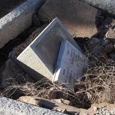 ? Jacobus J. -1865 :: Carolina E. NIEHAUS 1886-1964