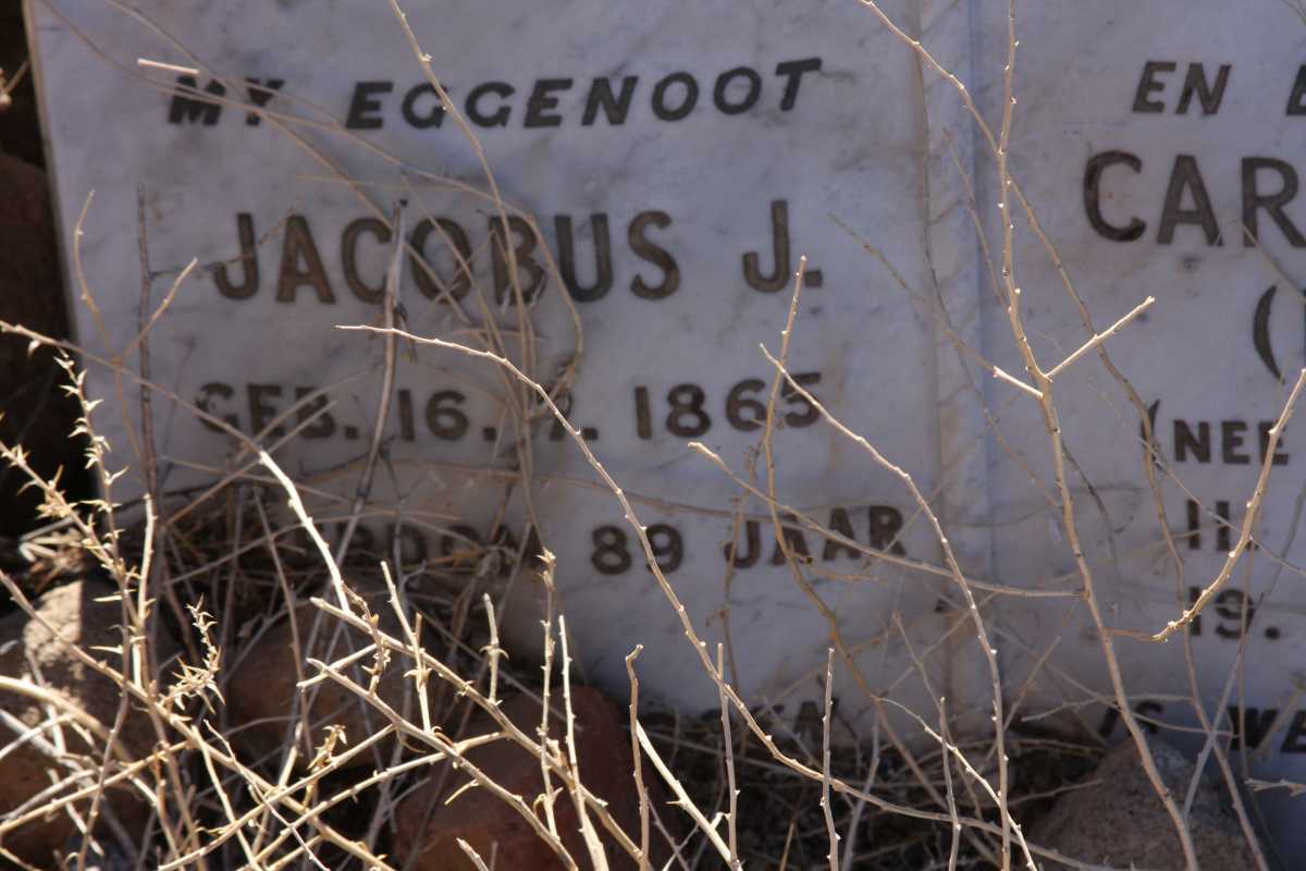 ? Jacobus J. -1865 & Carolina E. NIEHAUS 1886-1964