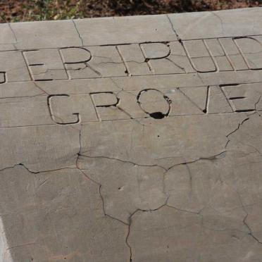 G - Surnames :: Vanne - G