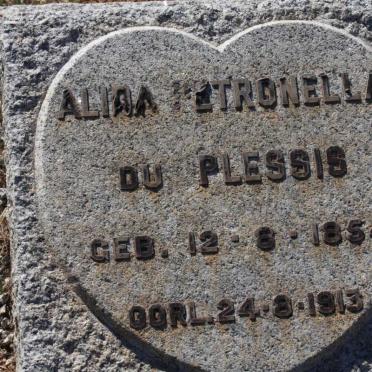 PLESSIS Petrus Francois, du 1851-1934 &amp; Alida Petronella 1854-1913