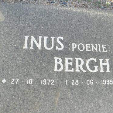 BERGH Inus 1972-1999 :: BERGH Martin 1978-1996