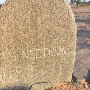 NEETHLING P.S. nee van WYK