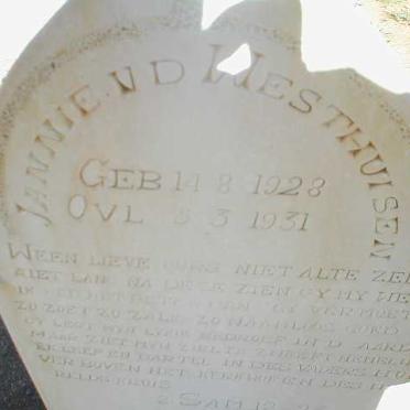 WESTHUIZEN Jannie, van der 1928-1931