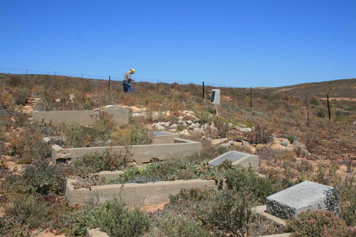 3. Overview