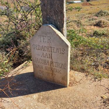 NIEKERK Jacoba Petrone, van 1877-1942