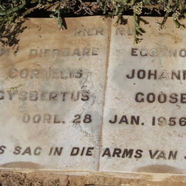 GOOSEN Cornelis Johannes Gysbertus  -1956